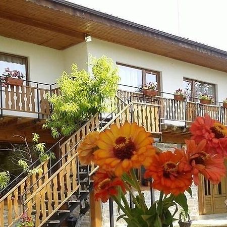 Guest House Friends Emen Zewnętrze zdjęcie